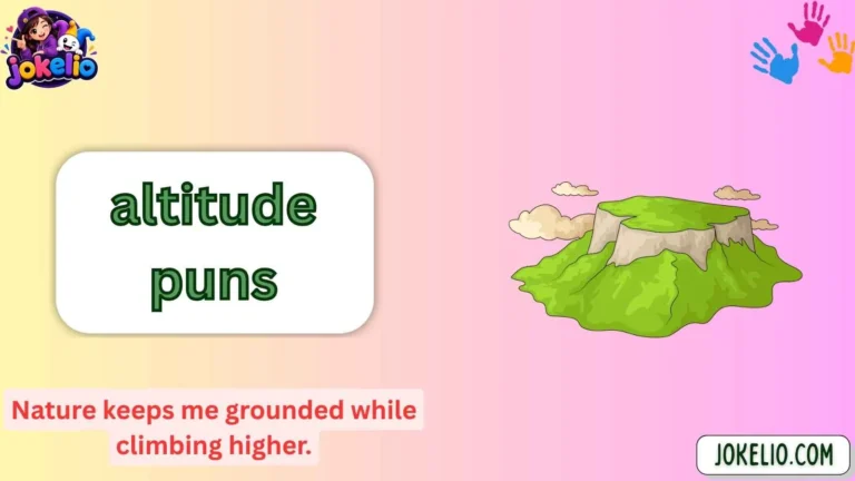altitude puns