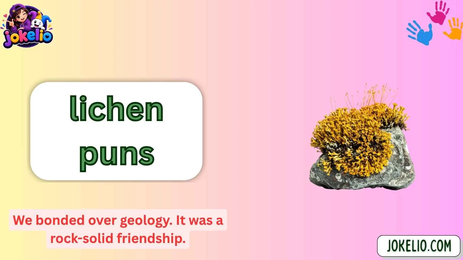 lichen puns
